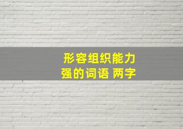 形容组织能力强的词语 两字